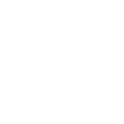 Spa icon